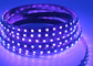 বেগুনি UV 12v 24v বেগুনি LED লাইট স্ট্রিপ 395nm UV Led টেপ 5050 Smd