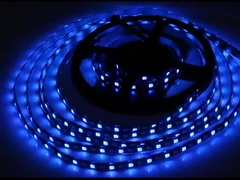 DC12V ডিজিটাল ডুয়াল সিগন্যাল লাইন IP65 WS2815 SMD5050 96Pixel RGBICAaddressable Led Strip