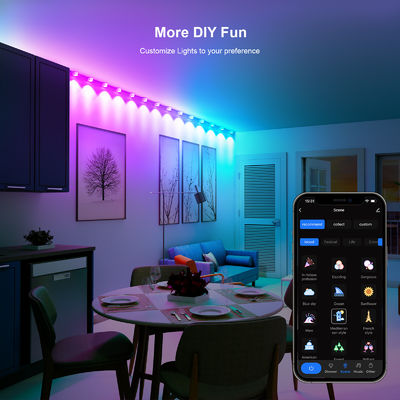 ক্রিসমাস সজ্জা জন্য ঠিকানাযোগ্য RGB IP68 জলরোধী LED Eave লাইট