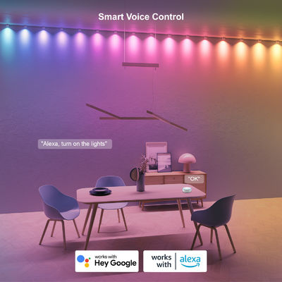 ক্রিসমাস সজ্জা জন্য ঠিকানাযোগ্য RGB IP68 জলরোধী LED Eave লাইট