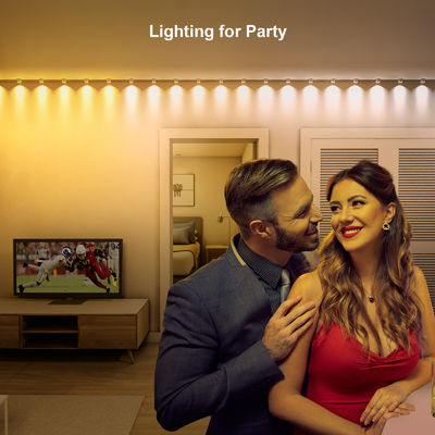 ক্রিসমাস সজ্জা জন্য ঠিকানাযোগ্য RGB IP68 জলরোধী LED Eave লাইট