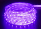 LED UV ব্ল্যাক লাইট স্ট্রিপ কিট 12V LED রিবন লাইট স্ট্রিপ 2835 IP65 ওয়াটারপ্রুফ UV LED স্ট্রিপ