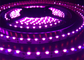 UVA UV C জীবাণুঘটিত বেগুনি LED LED SMD335 uv led স্ট্রিপ 254nm 360nm 365nm 455nm